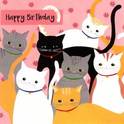 Birthday card "Cats" 16x16cm