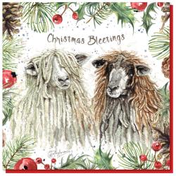 Christmas card, Sheep
