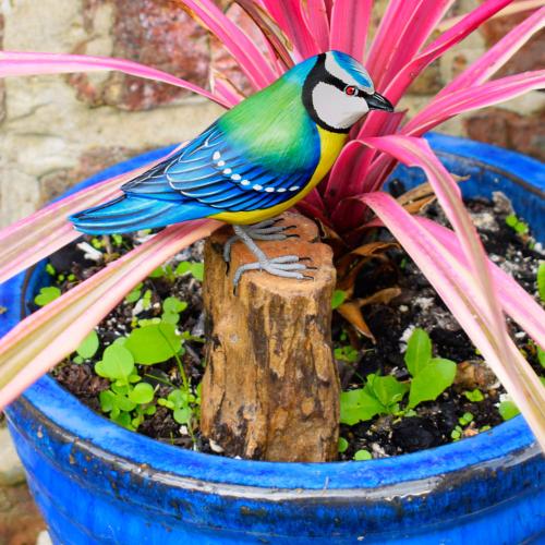 Blue tit on tree trunk