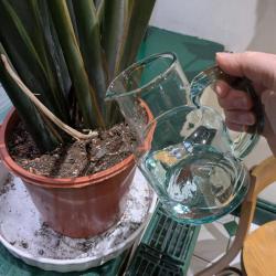 Jug / pitcher recycled glass, 15cm height