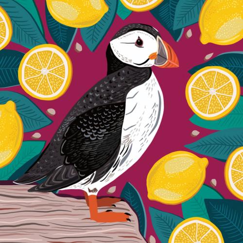 Greetings card "Puffin and Lemons" 16x16cm