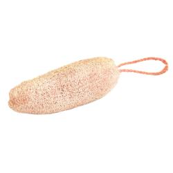 Loofah, hanging