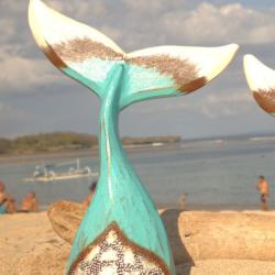Whale Tail Albesia Wood 38cm height