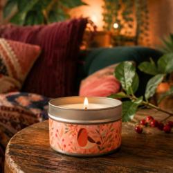 Aromatherapy Candle Winter Robin Saffron Jasmine Amberwood