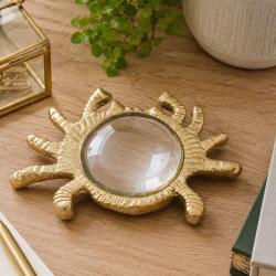 Magnifying Glass Crab