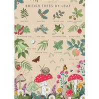 Greetings card "British trees" 12x17cm
