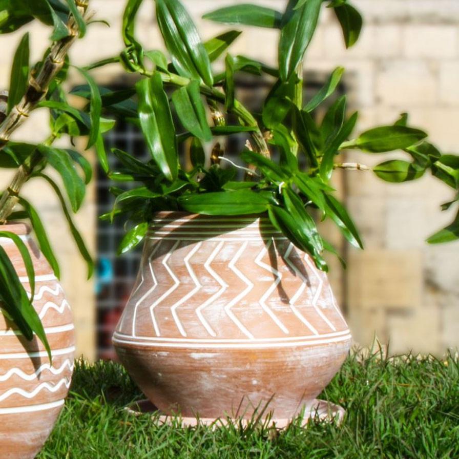 zigzag plant support zigzag plant support