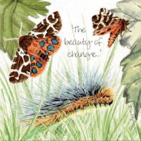 Greetings card, garden tiger moth