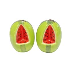 Salt and Pepper Pots Shakers Watermelon