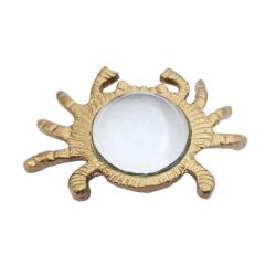 Magnifying Glass Crab