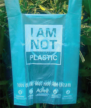 Not a plastic bag