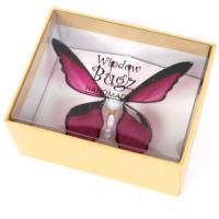 Bugz gift box (Bug not included)
