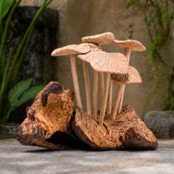Hand-Carved Toadstool Cluster on Gamal Wood