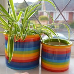 Rainbow ceramic planter, 15cm x 14cm ht