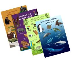 Greetings cards Endangered Wildlife 12 each of SEC031-40