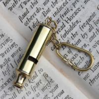 Whistle key chain