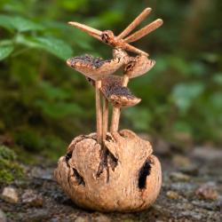 Handcrafted Wooden Dragonfly on Woodland Toadstools