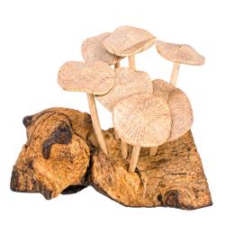 Hand-Carved Toadstool Cluster on Gamal Wood