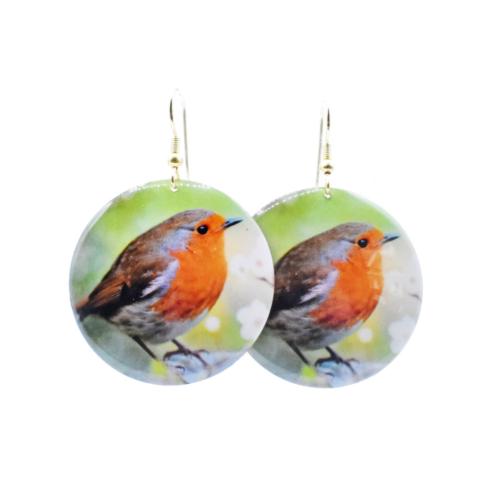 Earrings Robin