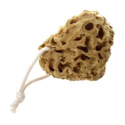Honeycomb sea sponge, eco-friendly, zero plastic