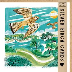 Greetings Card, Kestrel, 15x15cm