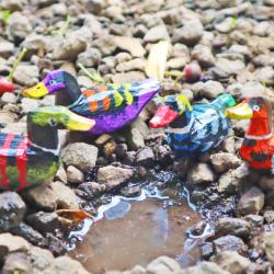 Duck Wood Bright Colours Patterned Assorted, 1 supplied