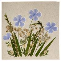 Handmade greetings card, 4 blue flowers in wild