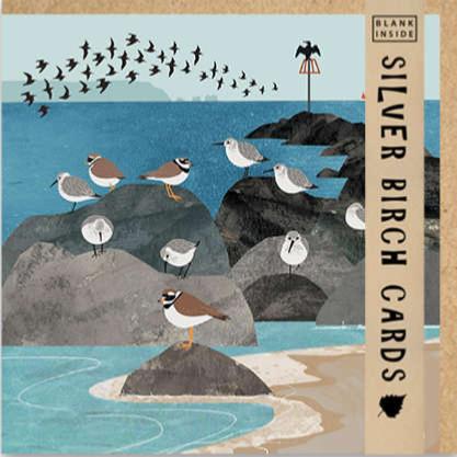Greetings card "Dunlin and Ringed Plover" 15.5 x 15.5cm