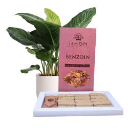 ISHOM Benzoin Natural Incense Bricks