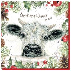Christmas card, Calf