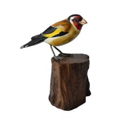 Goldfinch on tree trunk