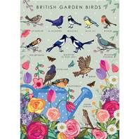 Greetings card "British garden birds" 12x17cm