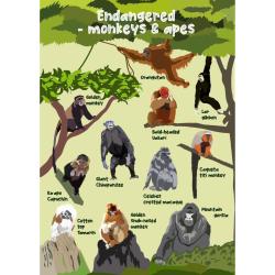 Greetings card Endangered Wildlife Monkeys & Apes 12x17cm