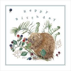 Greetings card, Happy Birthday, Water Vole