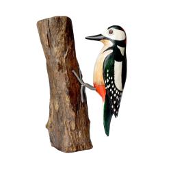Spotted woodpecker on tree trunk