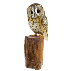 Tawny owl on tree trunk 19cm