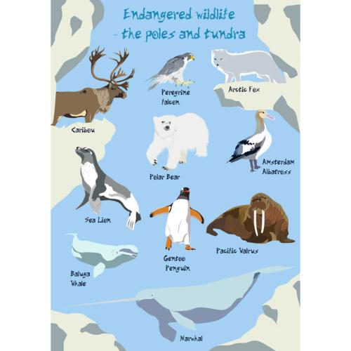 Greetings card Endangered Wildlife Poles & Tundra 12x17cm