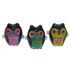 Box of 24 owl messengers