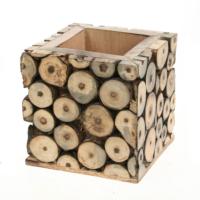 Pencil pot, decorative mango wood branch slices