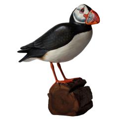 Puffin on tree trunk