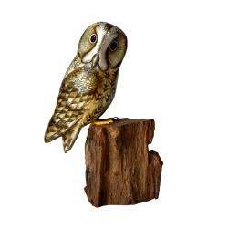 Tawny owl on tree trunk 12cm