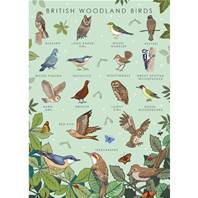 Greetings card "British woodland birds" 12x17cm