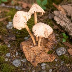 Handcrafted Wooden Three Toadstool Woodland Decoration