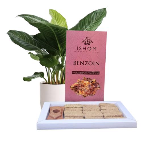 ISHOM Benzoin Natural Incense Bricks
