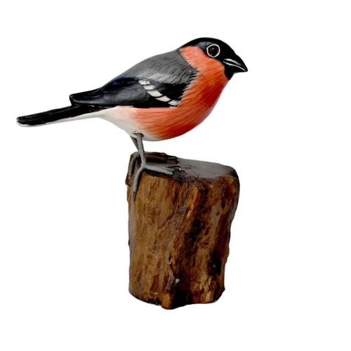 Bullfinch on tree trunk