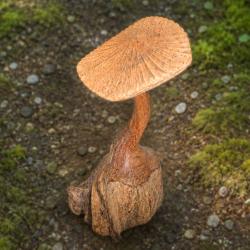 Handcrafted Wooden Flat Cap Toadstool Sculpture