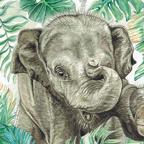 Greetings card, Asian elephant