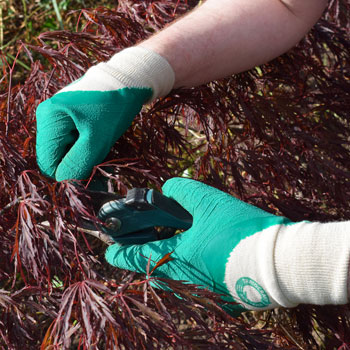 New Gardening & Household Gloves