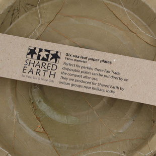 Disposable Dinnerware