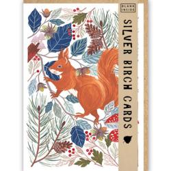 Greetings Card, Red Squirrel, 12.5 x 18cm